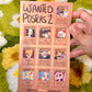 Silly Wanted Posters sticker Sheet - Vinyl Waterproof