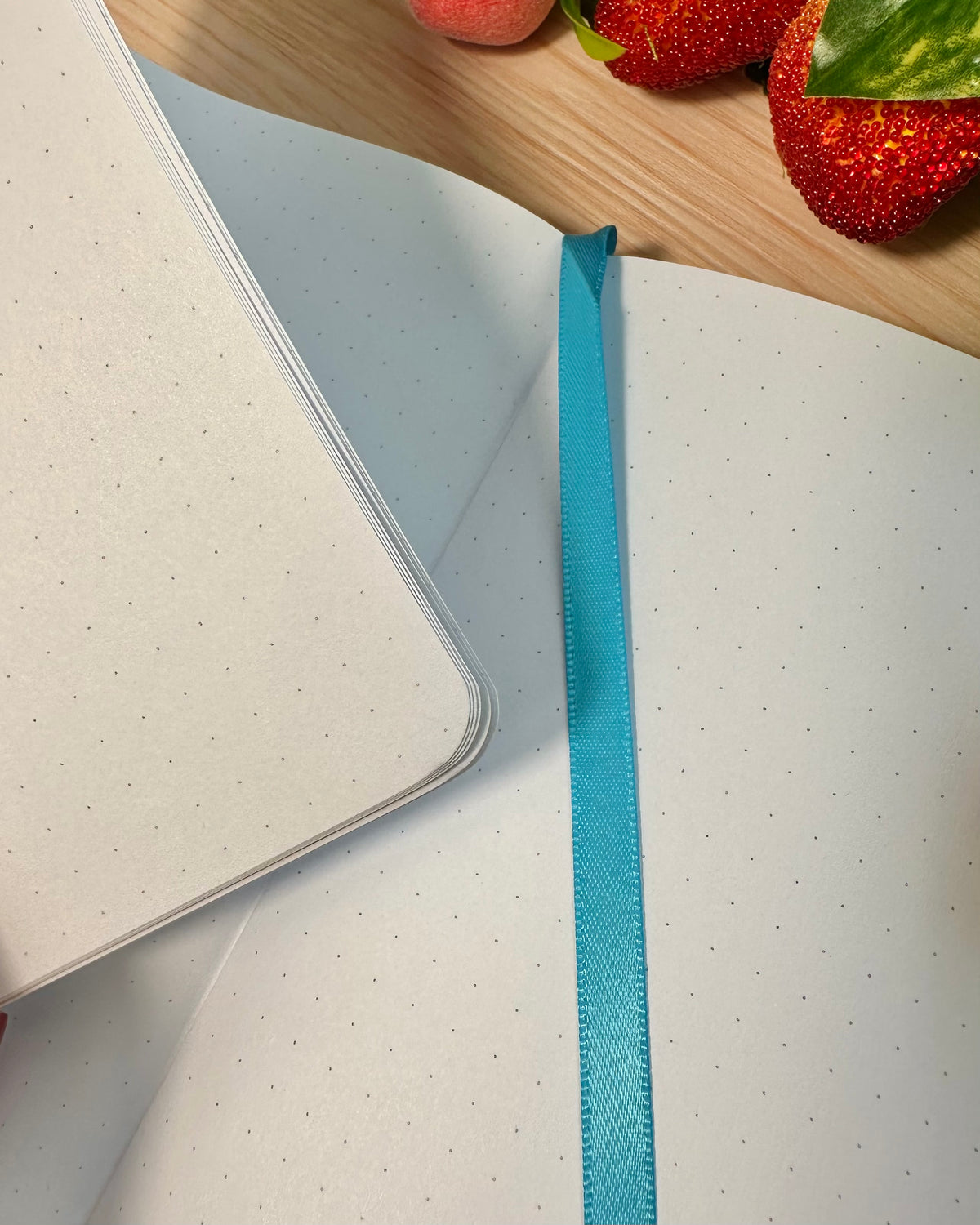 Ocean Dotted Journal Planner