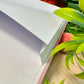 Festival Dotted Journal Planner