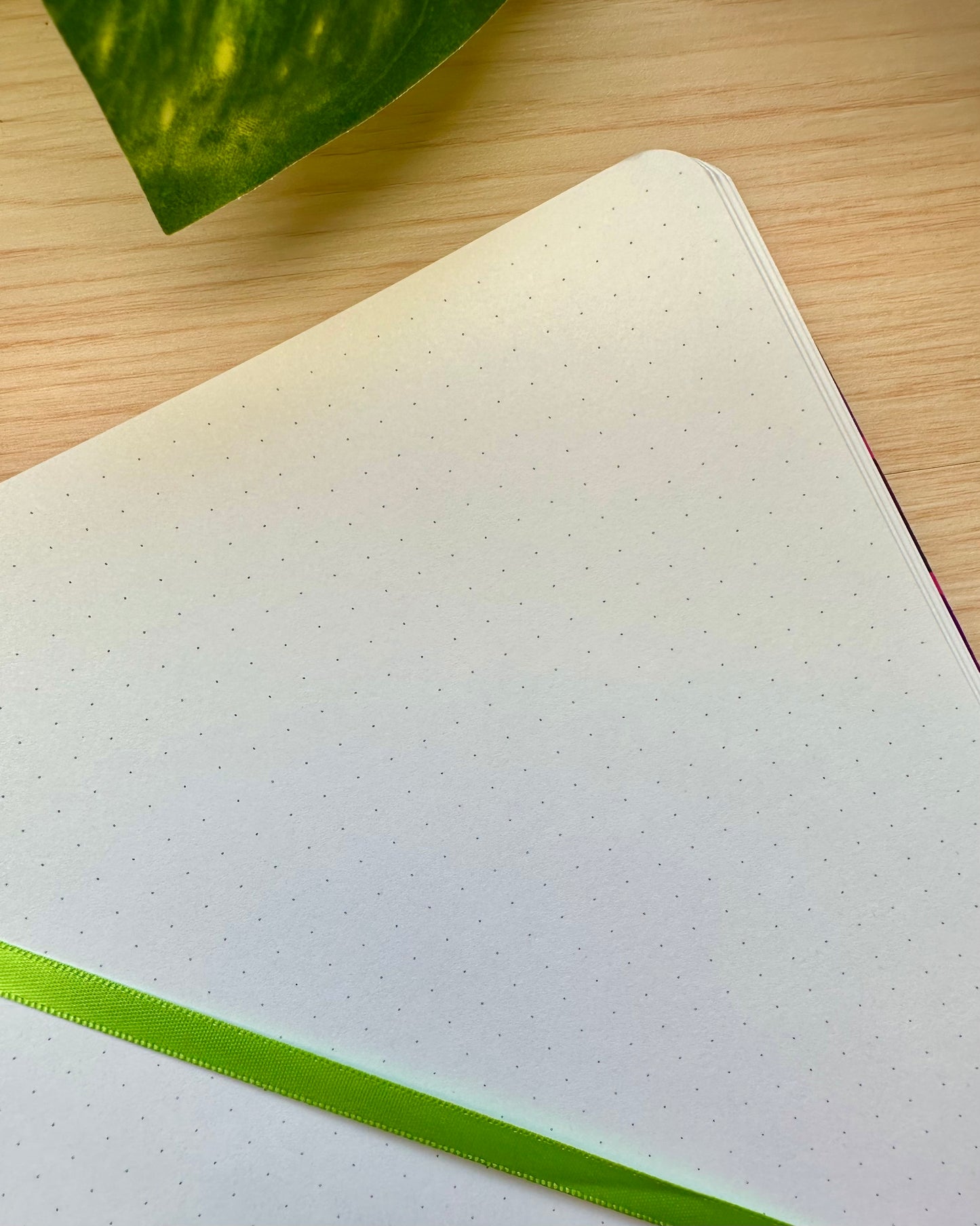 Micaela UFO Sketchbook / Dotted Journal